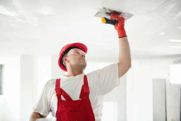 Reliable Altamont, NY Dry wall and painting Solutions